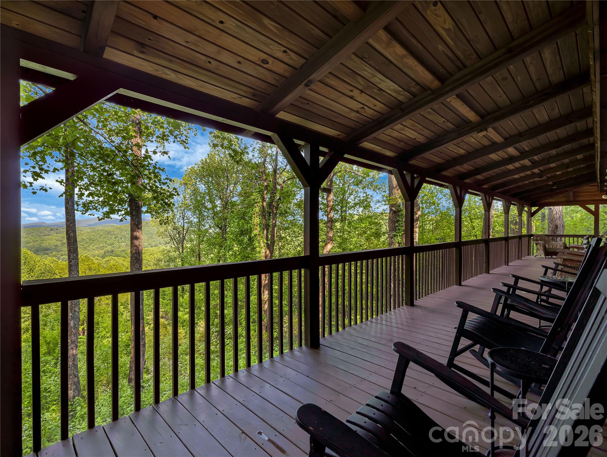 586 Tanglewood Lane Saluda NC 28773