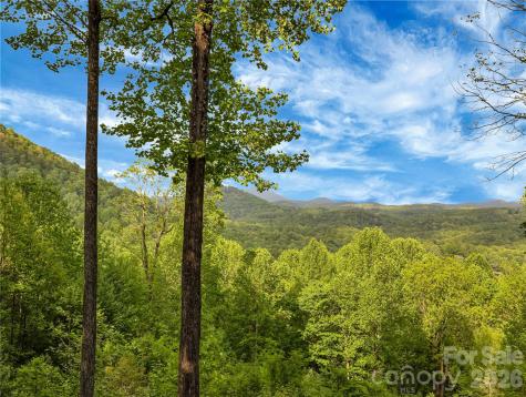 586 Tanglewood Lane Saluda NC 28773