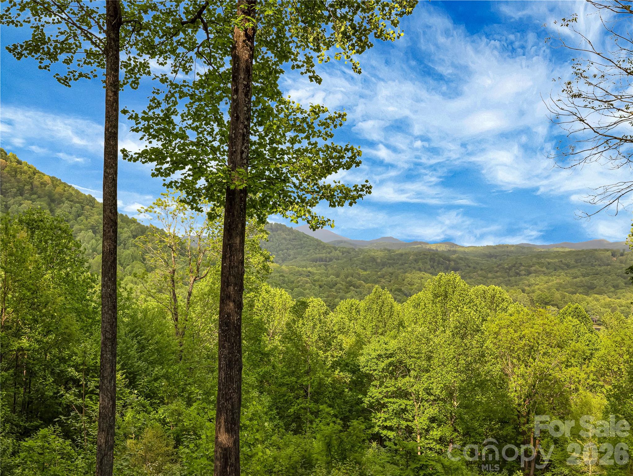 586 Tanglewood Lane Saluda NC 28773