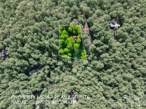 586 Tanglewood Lane Saluda NC 28773