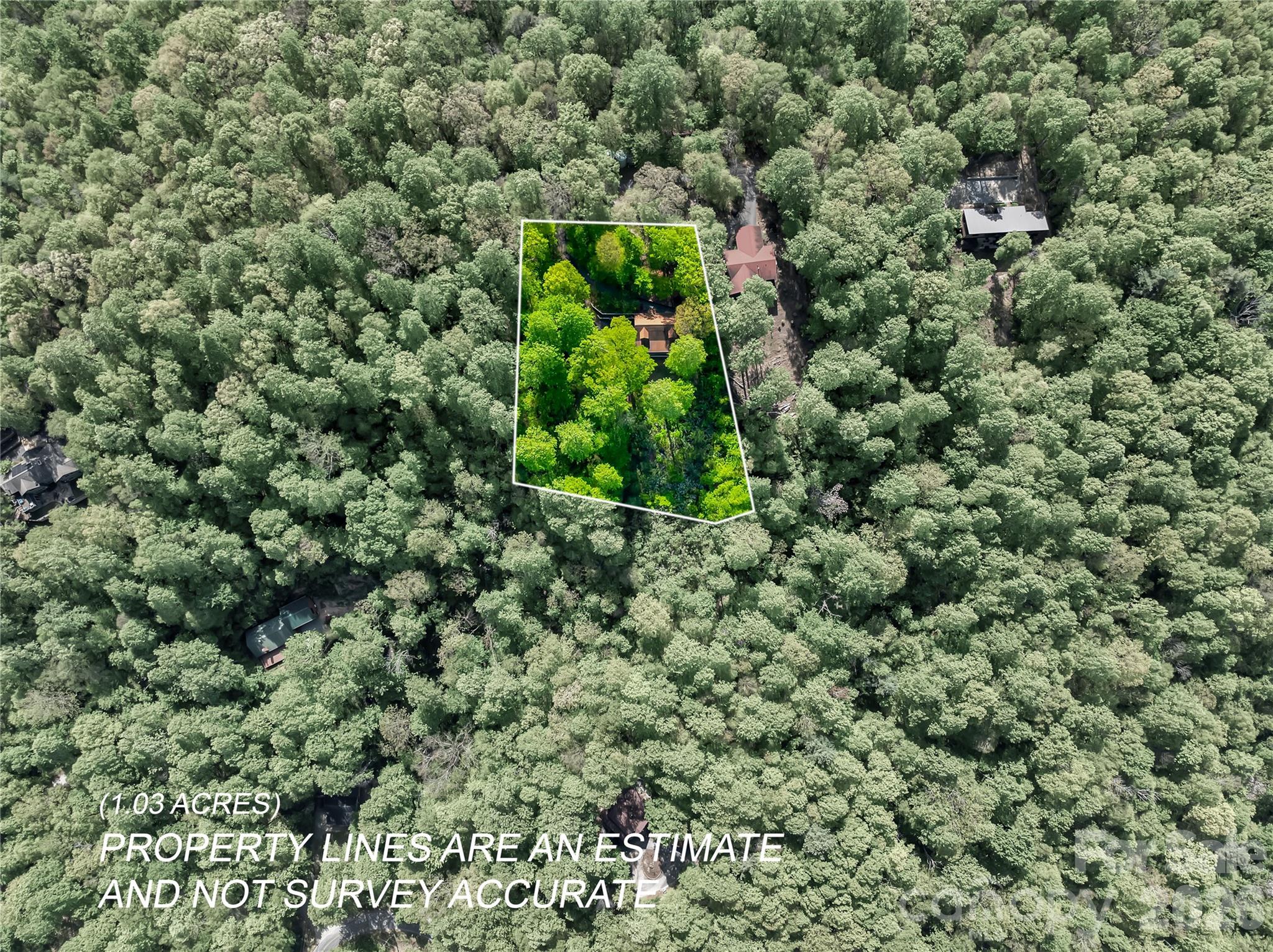 586 Tanglewood Lane Saluda NC 28773
