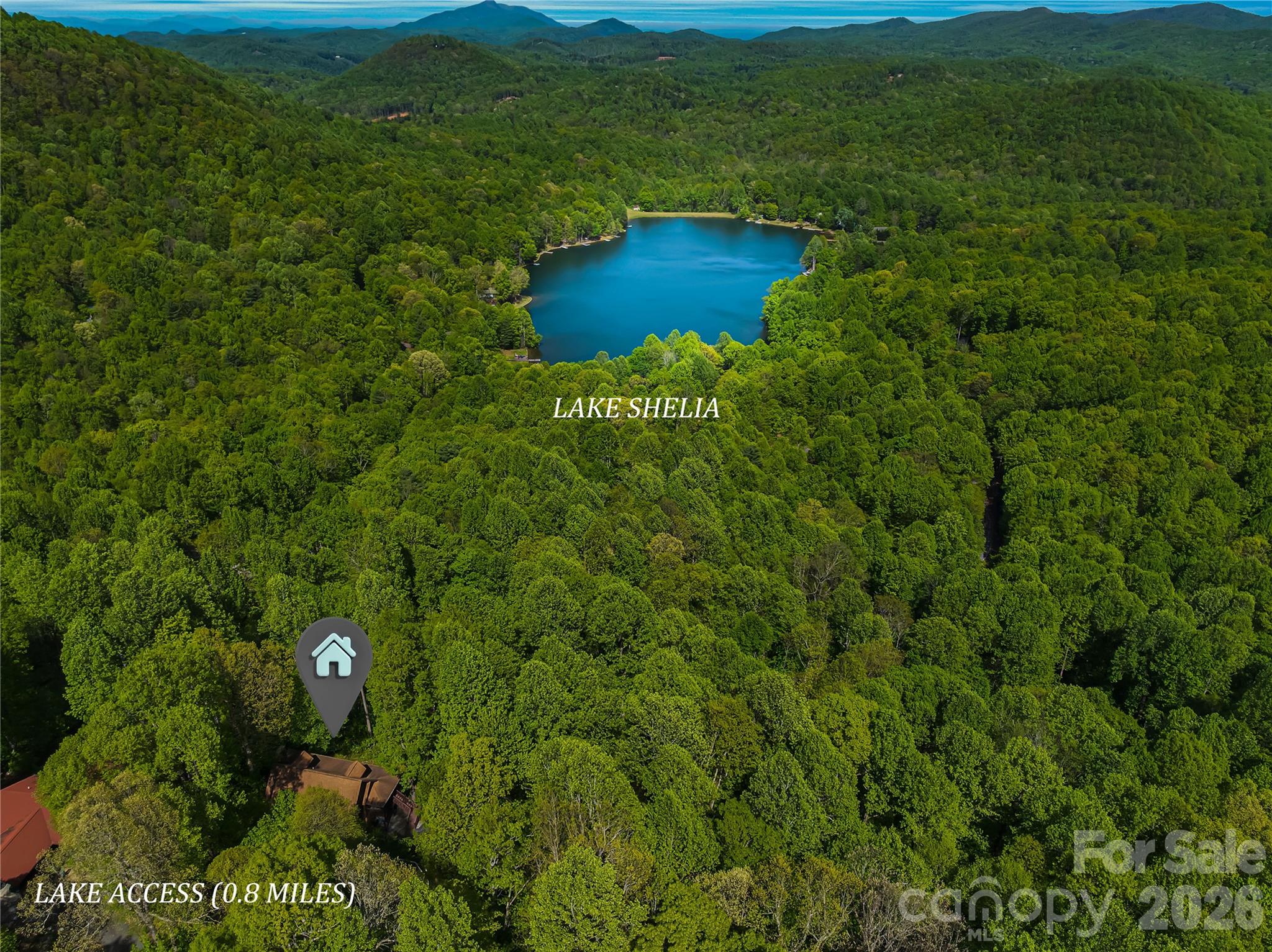 586 Tanglewood Lane Saluda NC 28773
