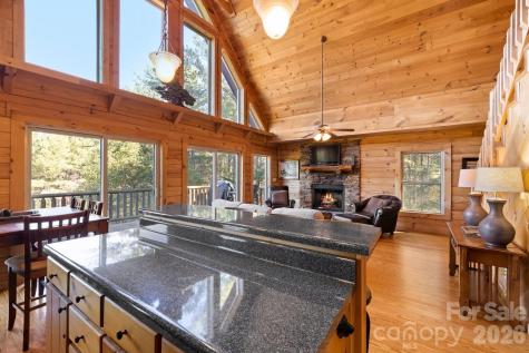 105 Palisade Drive Mill Spring NC 28756