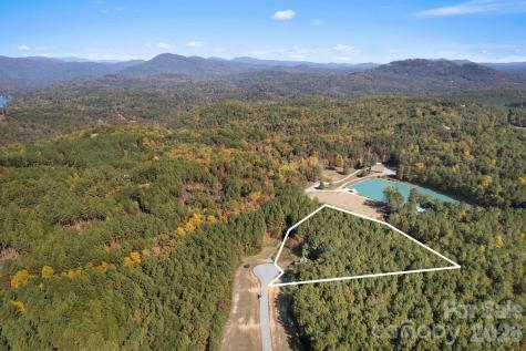 105 Palisade Drive Mill Spring NC 28756