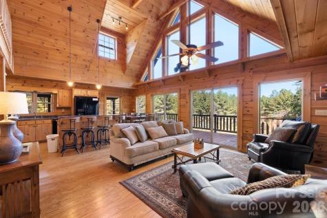 105 Palisade Drive Mill Spring NC 28756