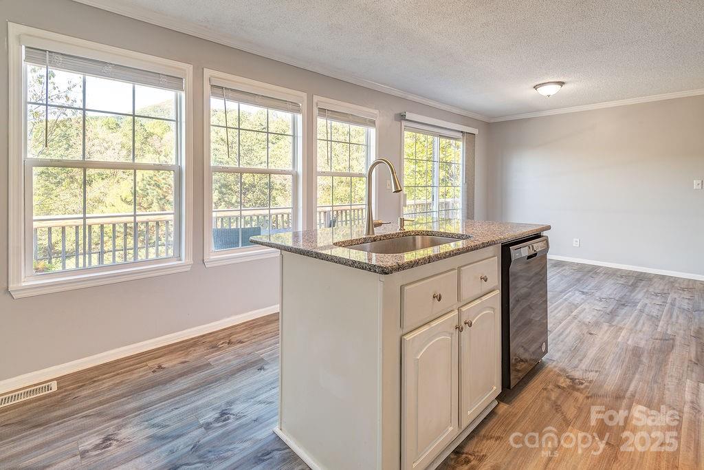 6 Clark Meadow Lane Candler NC 28715