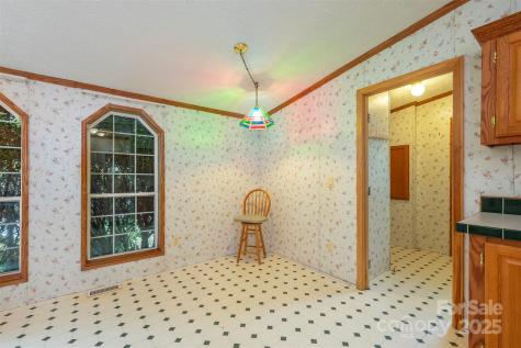 103 6th Street Black Mountain NC 28711