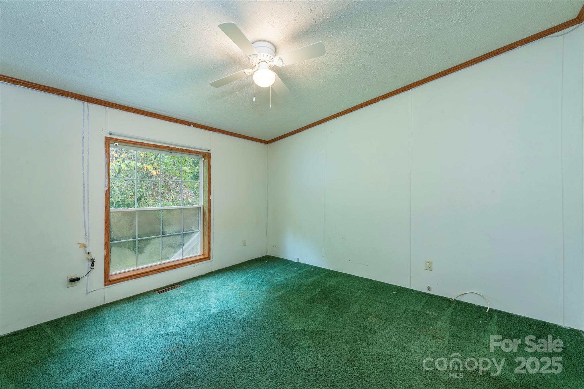 103 6th Street Black Mountain NC 28711