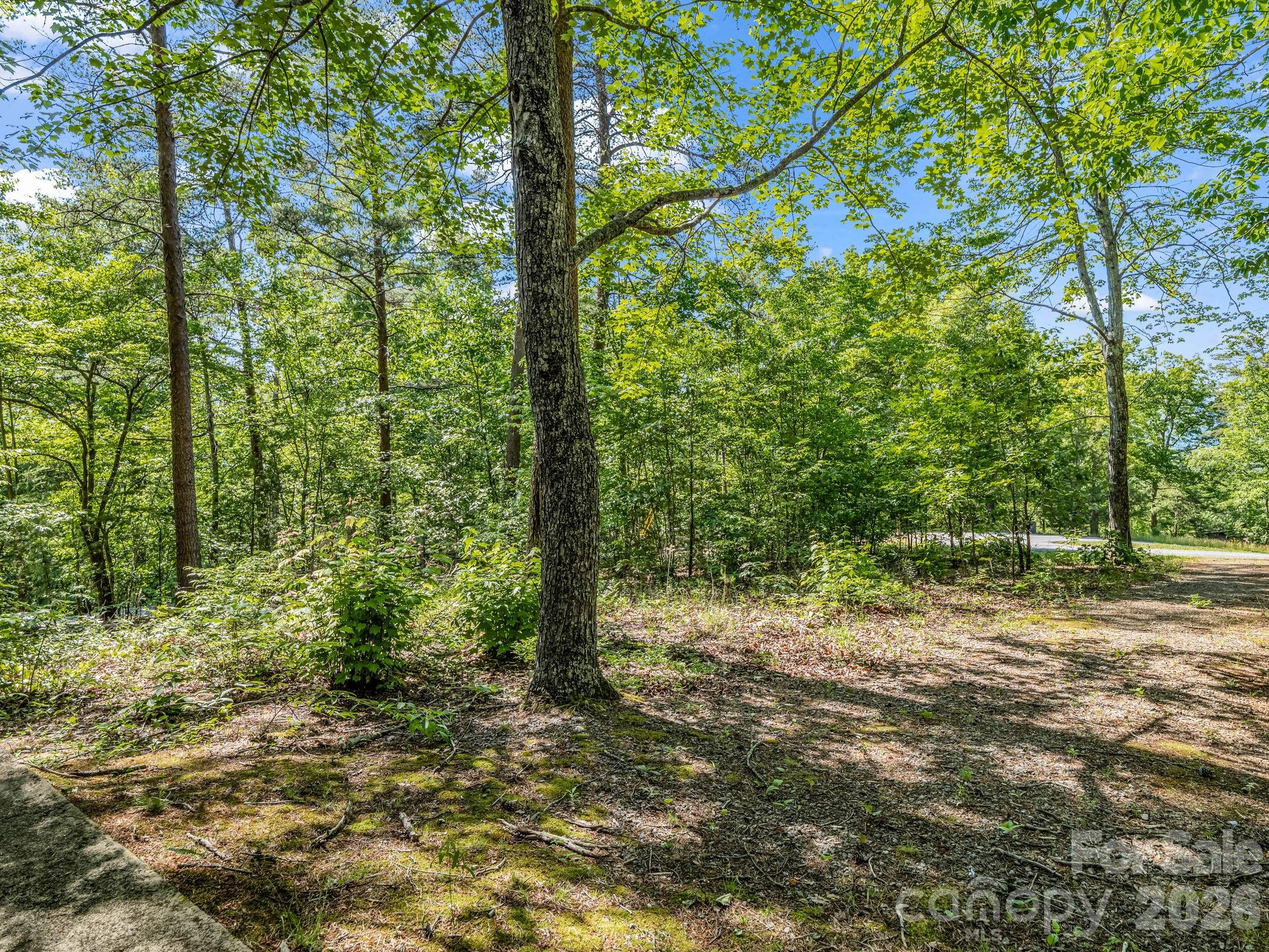 740 Justice Drive Lake Lure NC 28746