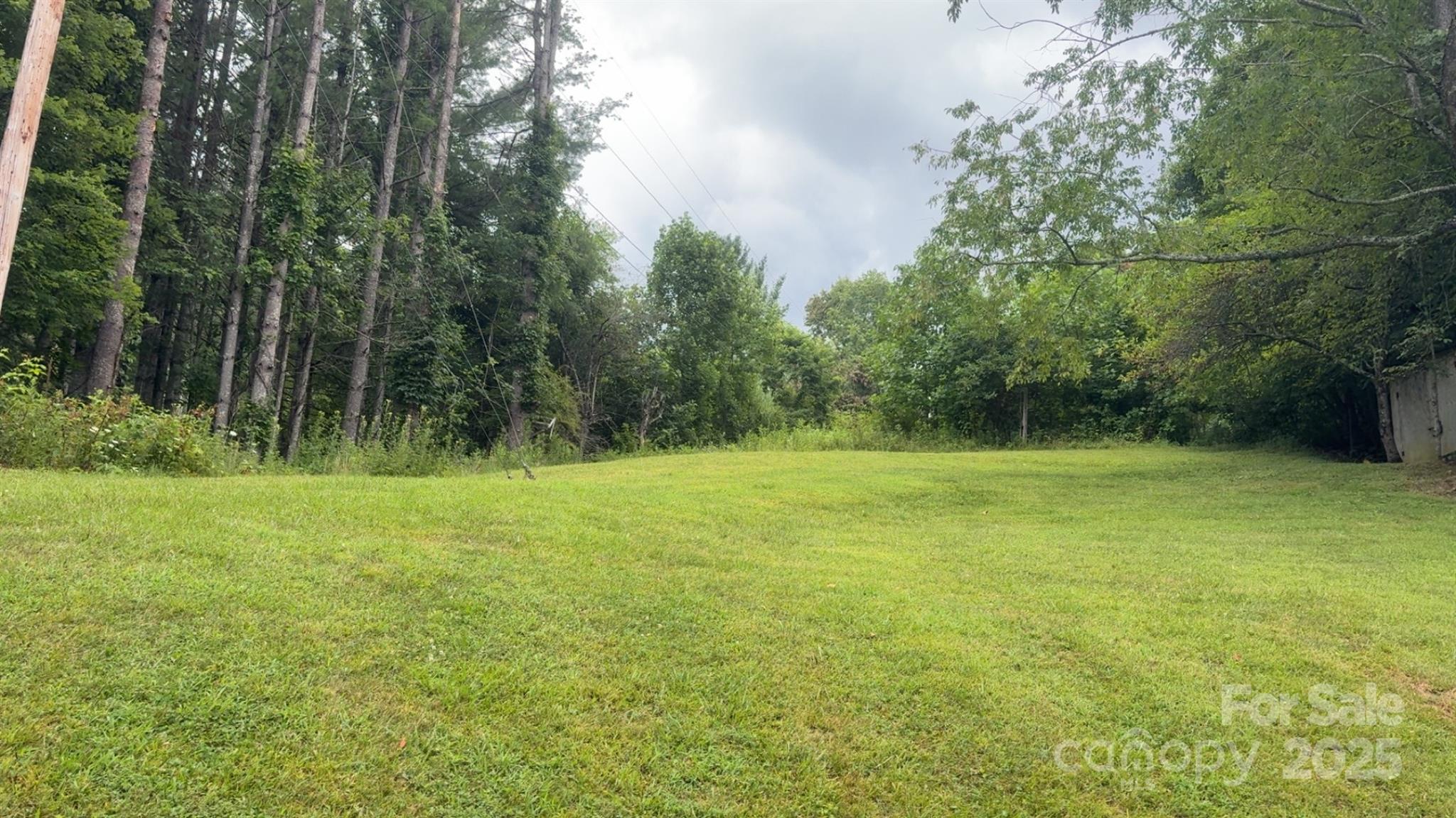 456 Duck Branch Bakersville NC 28705