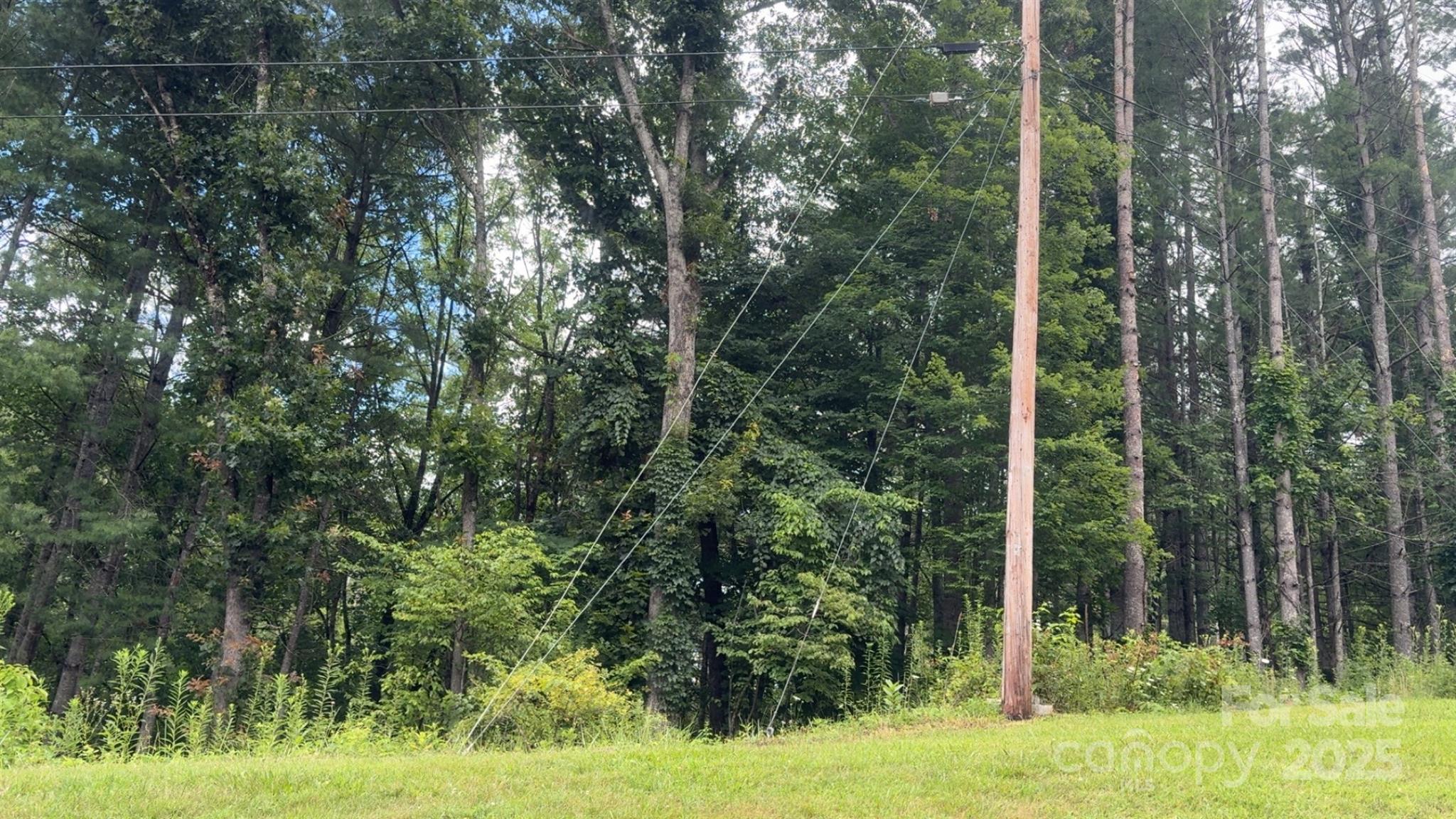 456 Duck Branch Bakersville NC 28705