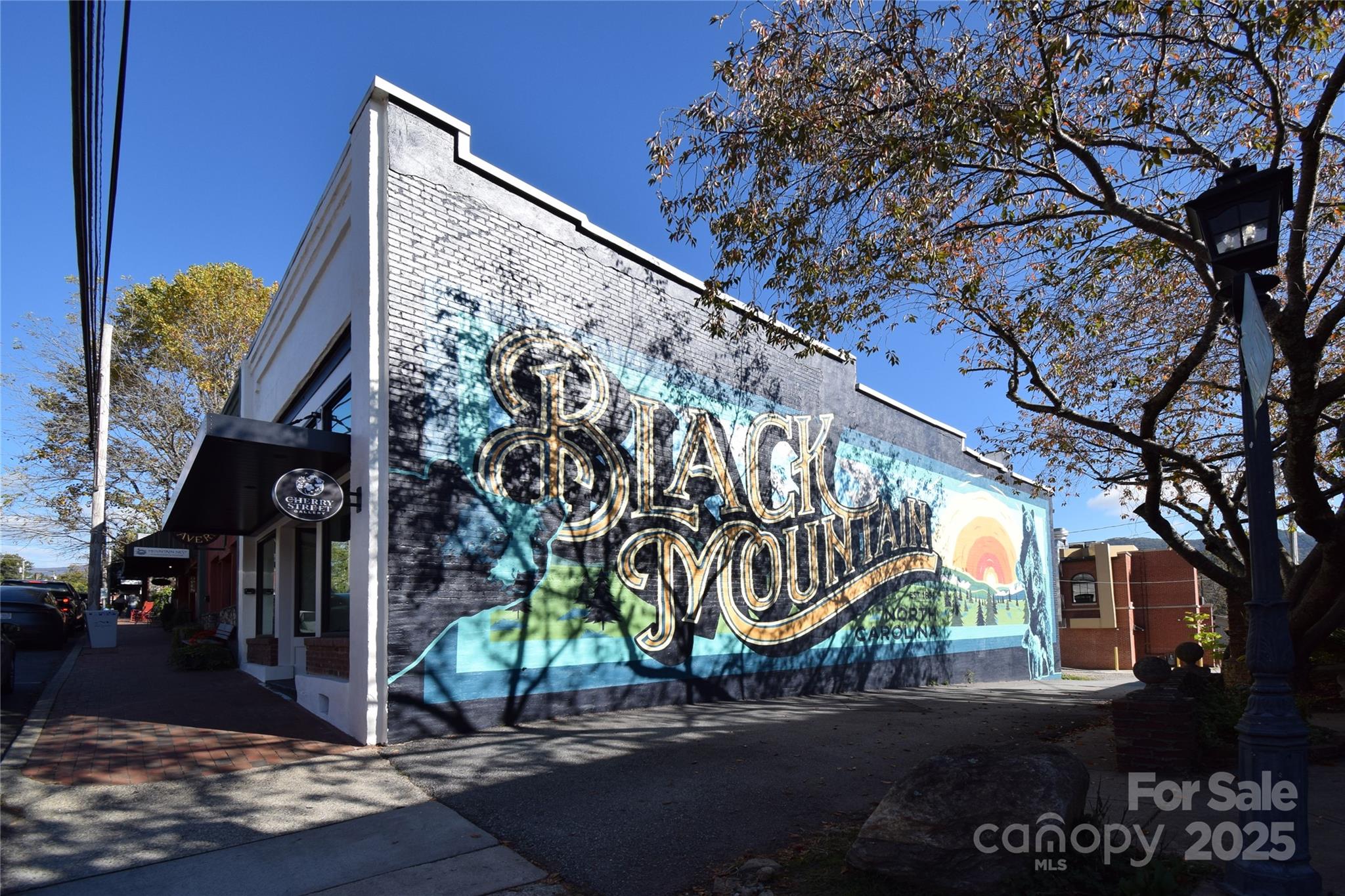 1102 Blueview Drive Black Mountain NC 28711