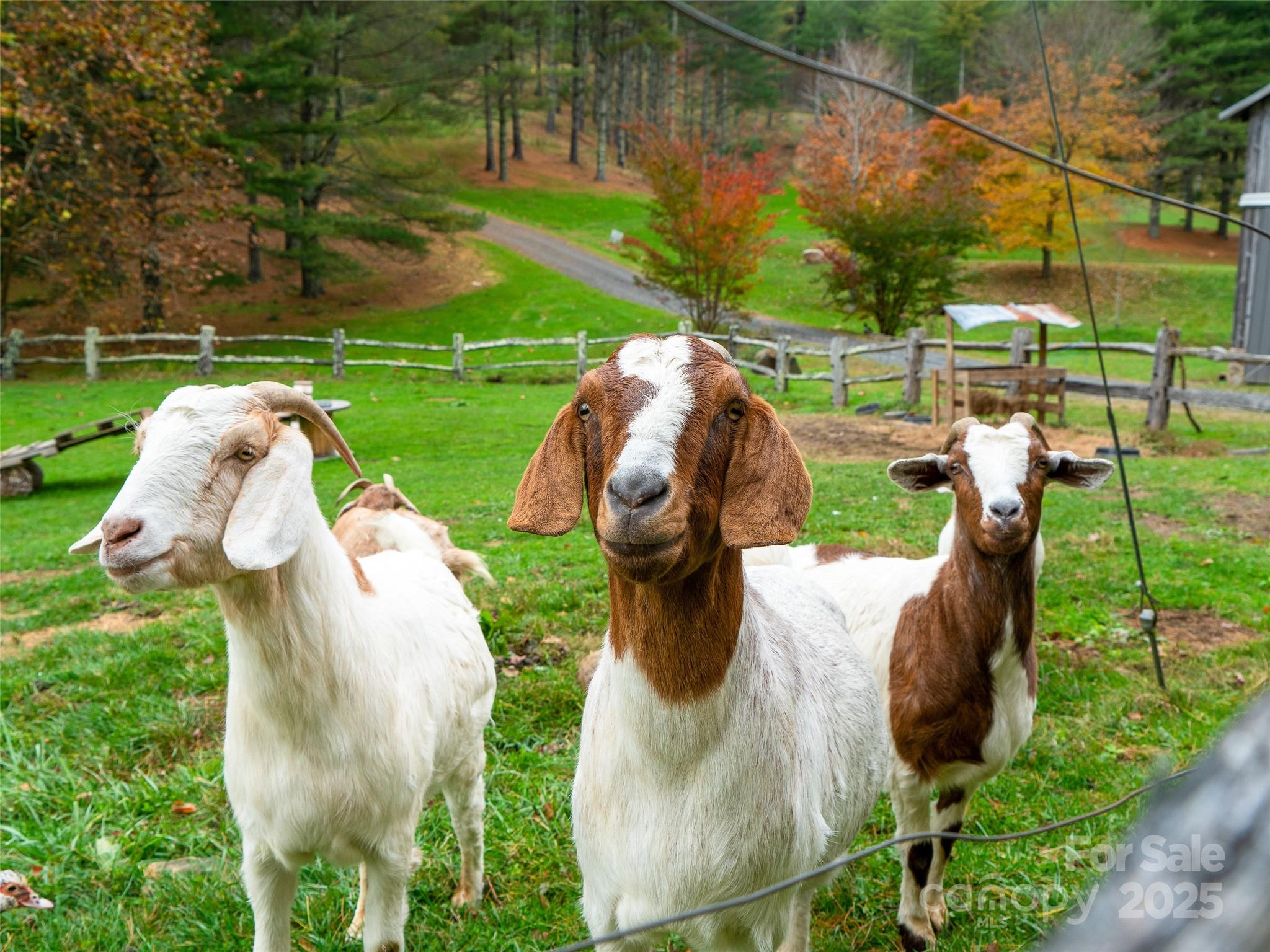 342 Big Rock Creek Drive Bakersville NC 28705