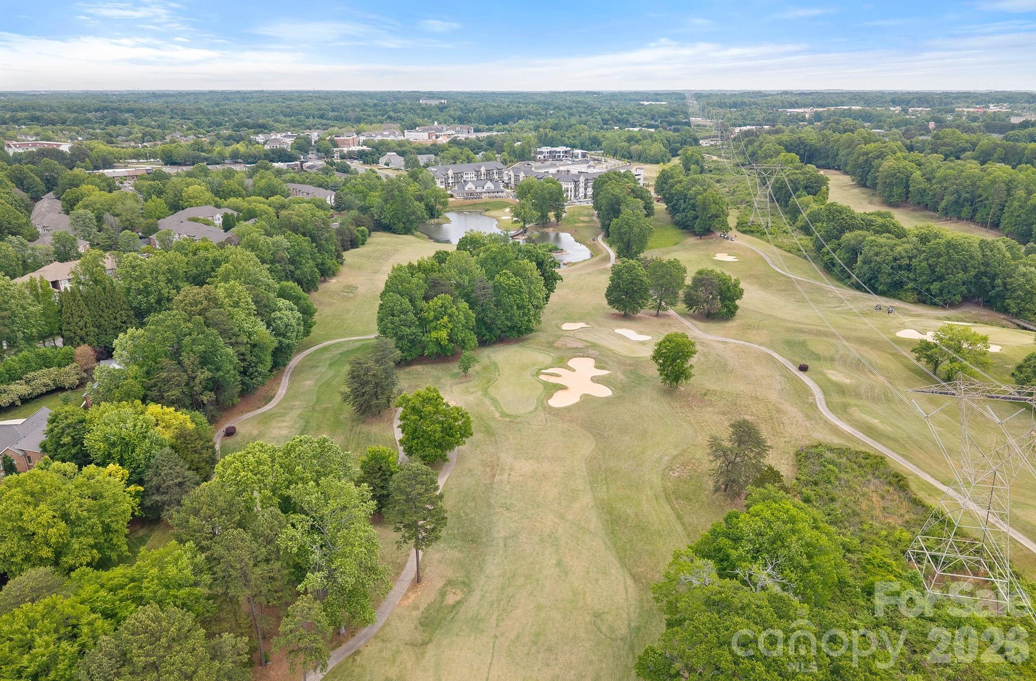 16110 Covington Point Lane Huntersville NC 28078