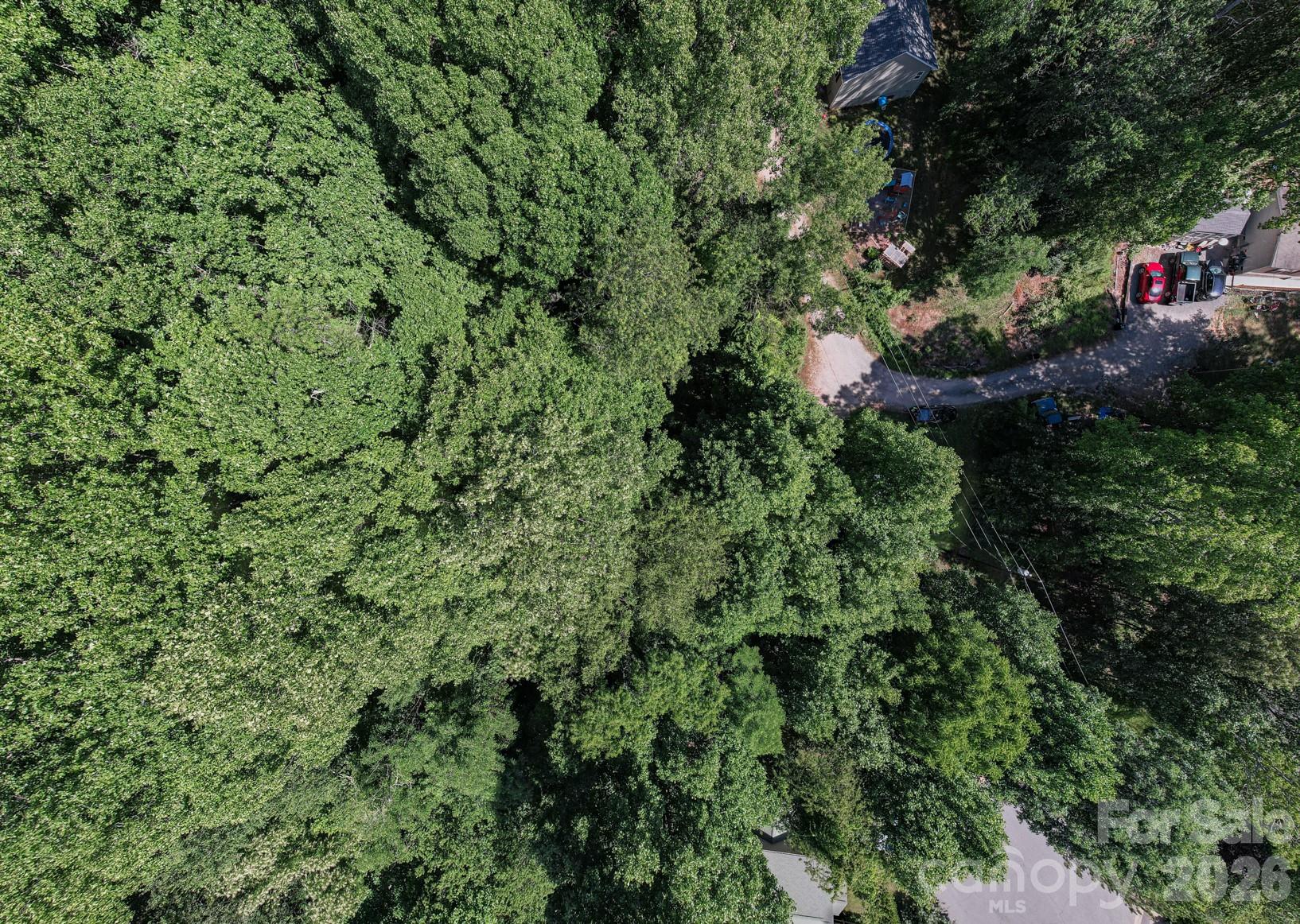 17 Chicago Avenue Black Mountain NC 28711