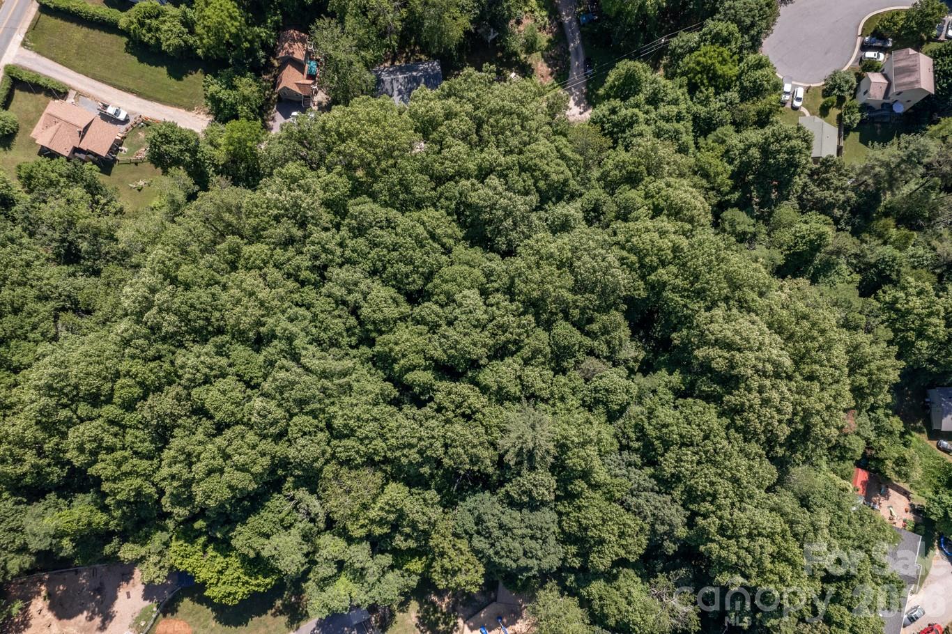 17 Chicago Avenue Black Mountain NC 28711