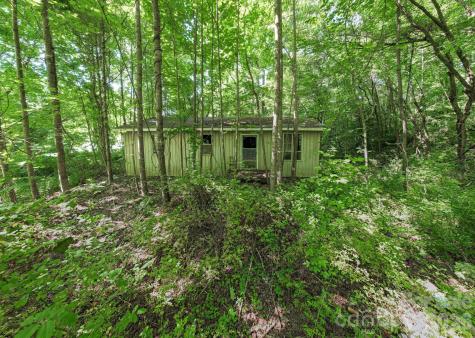 17 Chicago Avenue Black Mountain NC 28711