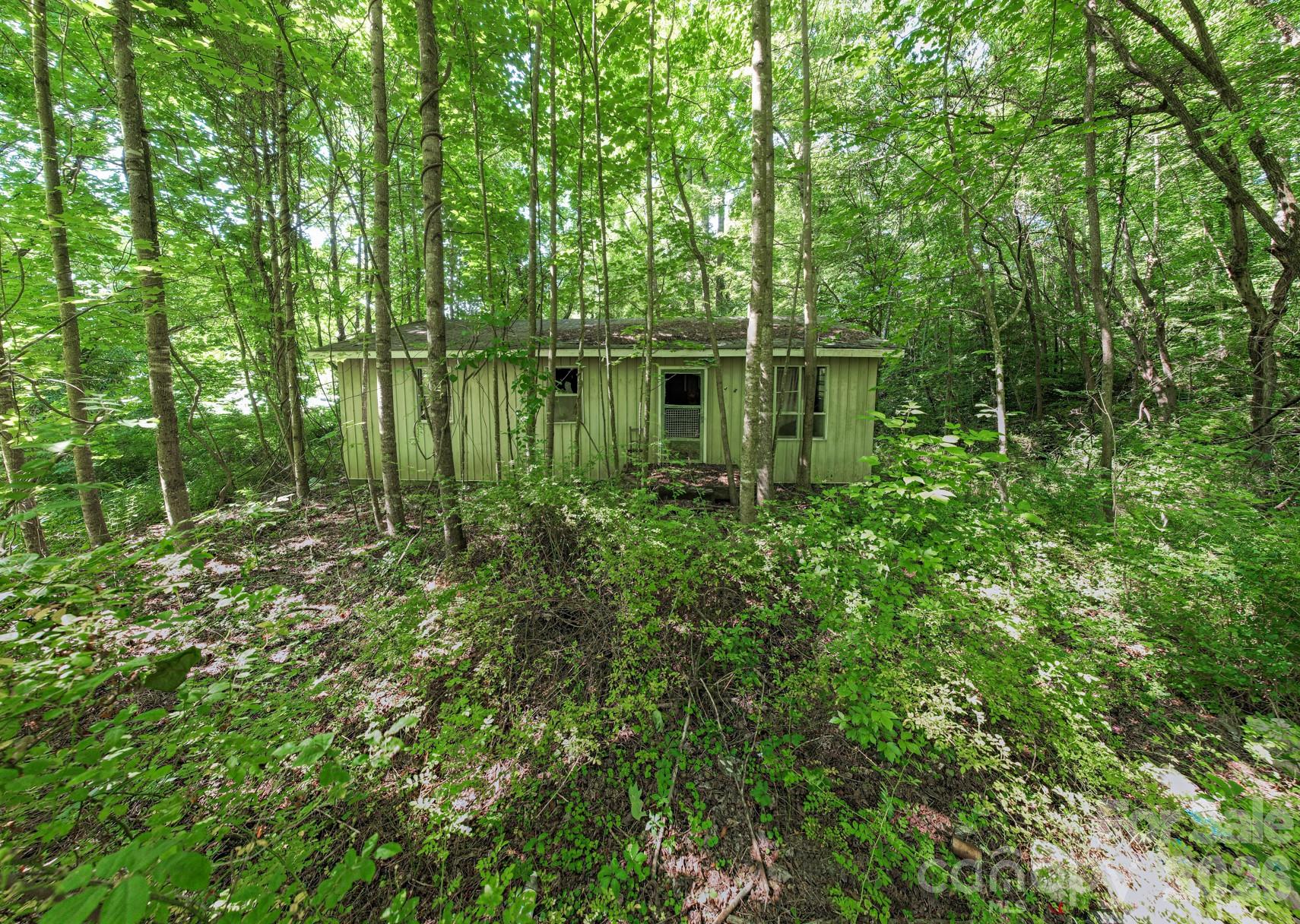 17 Chicago Avenue Black Mountain NC 28711