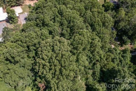 17 Chicago Avenue Black Mountain NC 28711