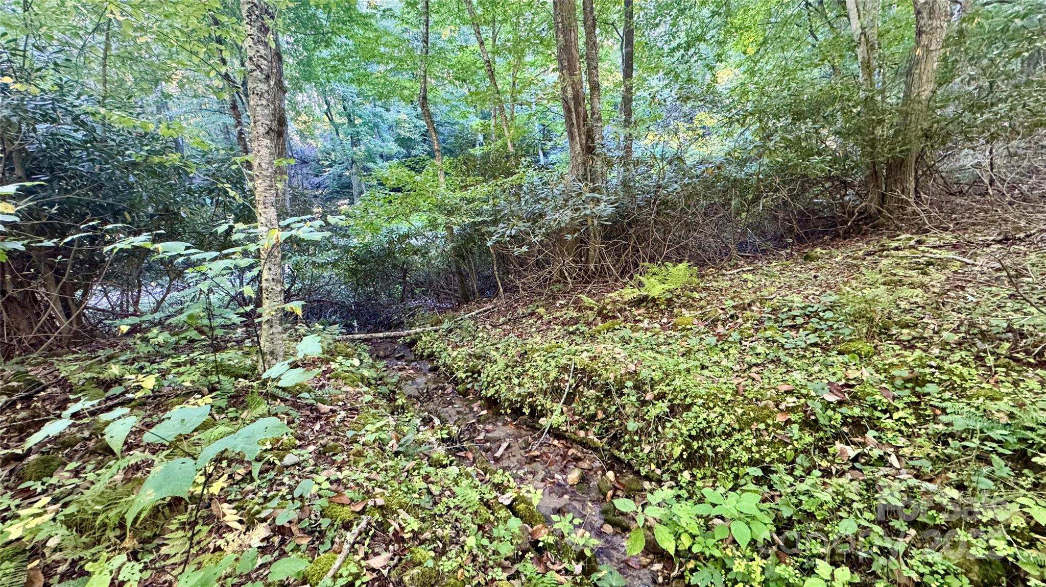 191 Ivy Way Mars Hill NC 28754