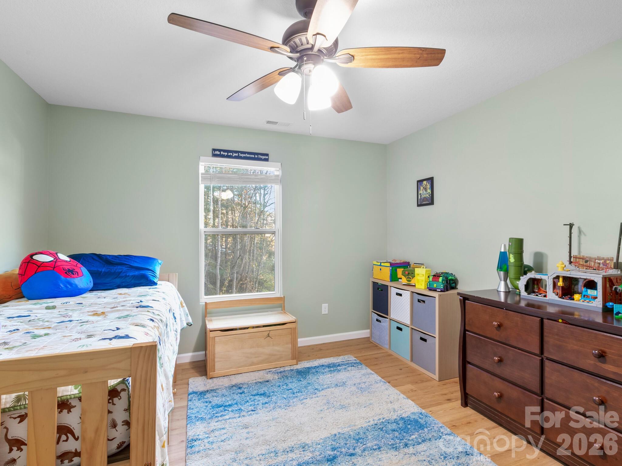 30 Shire Way Lane Leicester NC 28748
