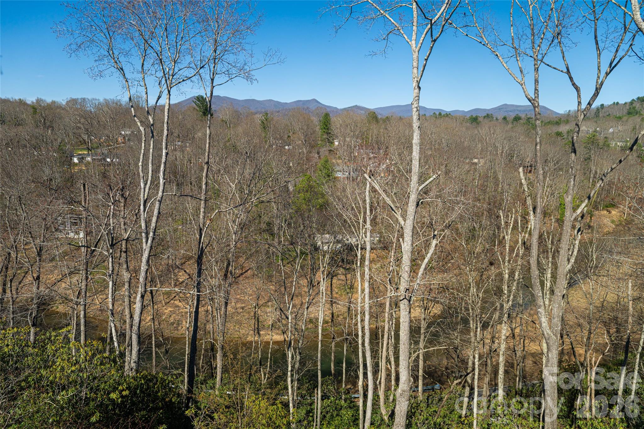 162 Riverbend Forest Drive Asheville NC 28805