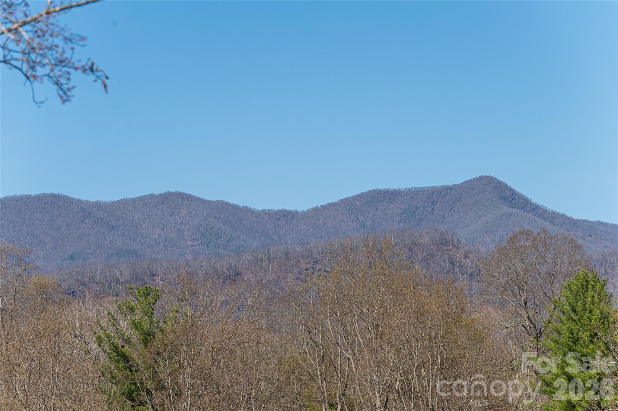 162 Riverbend Forest Drive Asheville NC 28805