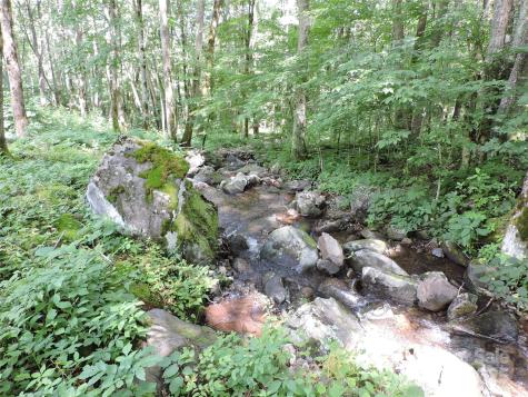 103 Chucks Lane Bakersville NC 28705