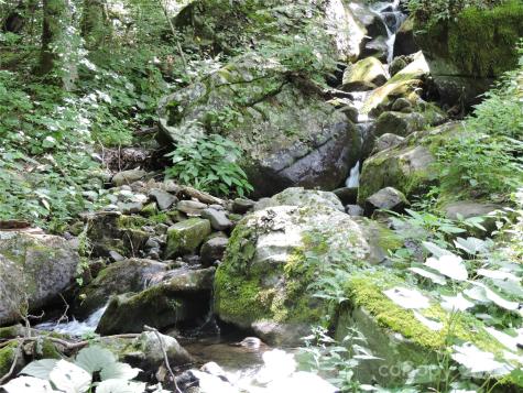 103 Chucks Lane Bakersville NC 28705