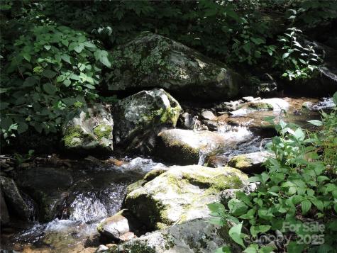 103 Chucks Lane Bakersville NC 28705