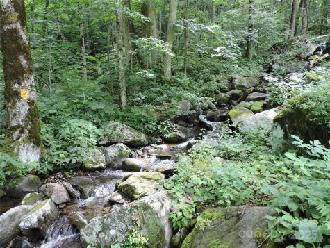 103 Chucks Lane Bakersville NC 28705