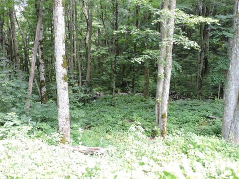 103 Chucks Lane Bakersville NC 28705