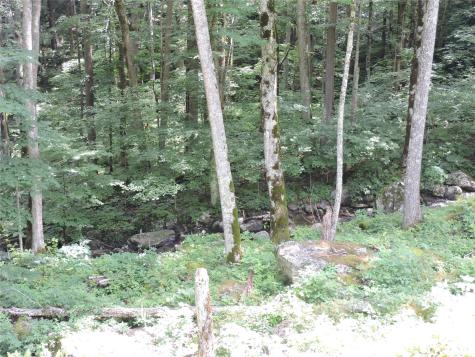 103 Chucks Lane Bakersville NC 28705