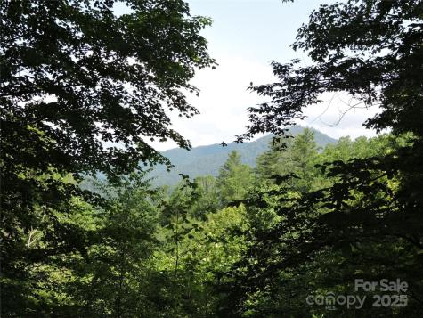 103 Chucks Lane Bakersville NC 28705