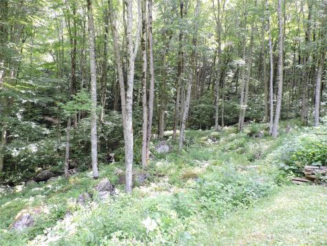 103 Chucks Lane Bakersville NC 28705