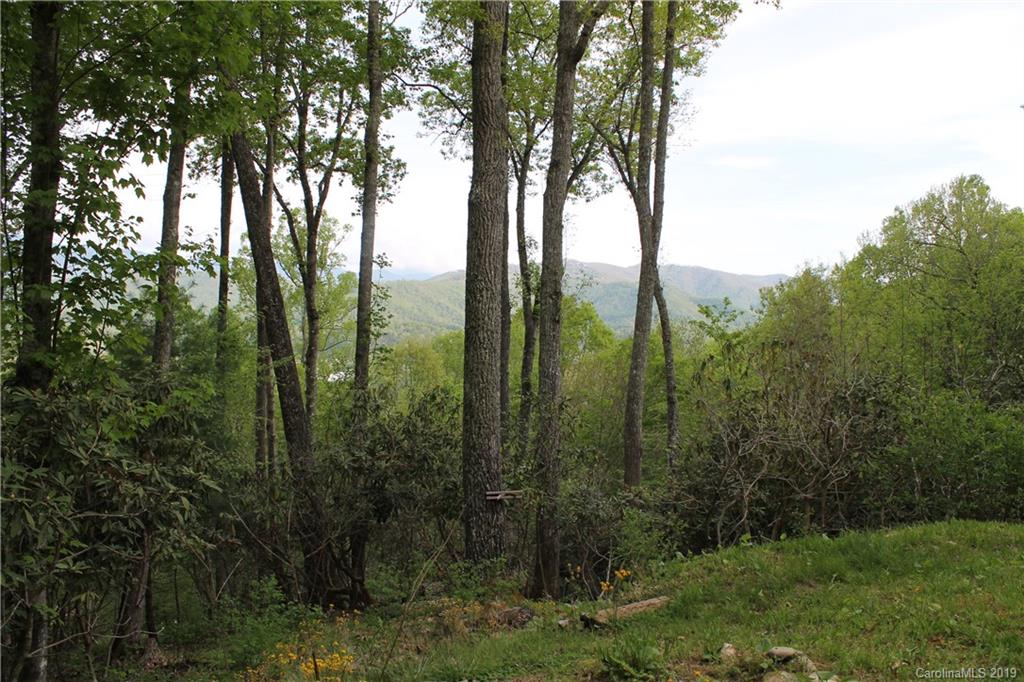 617 Leisure Lane Burnsville NC 28714