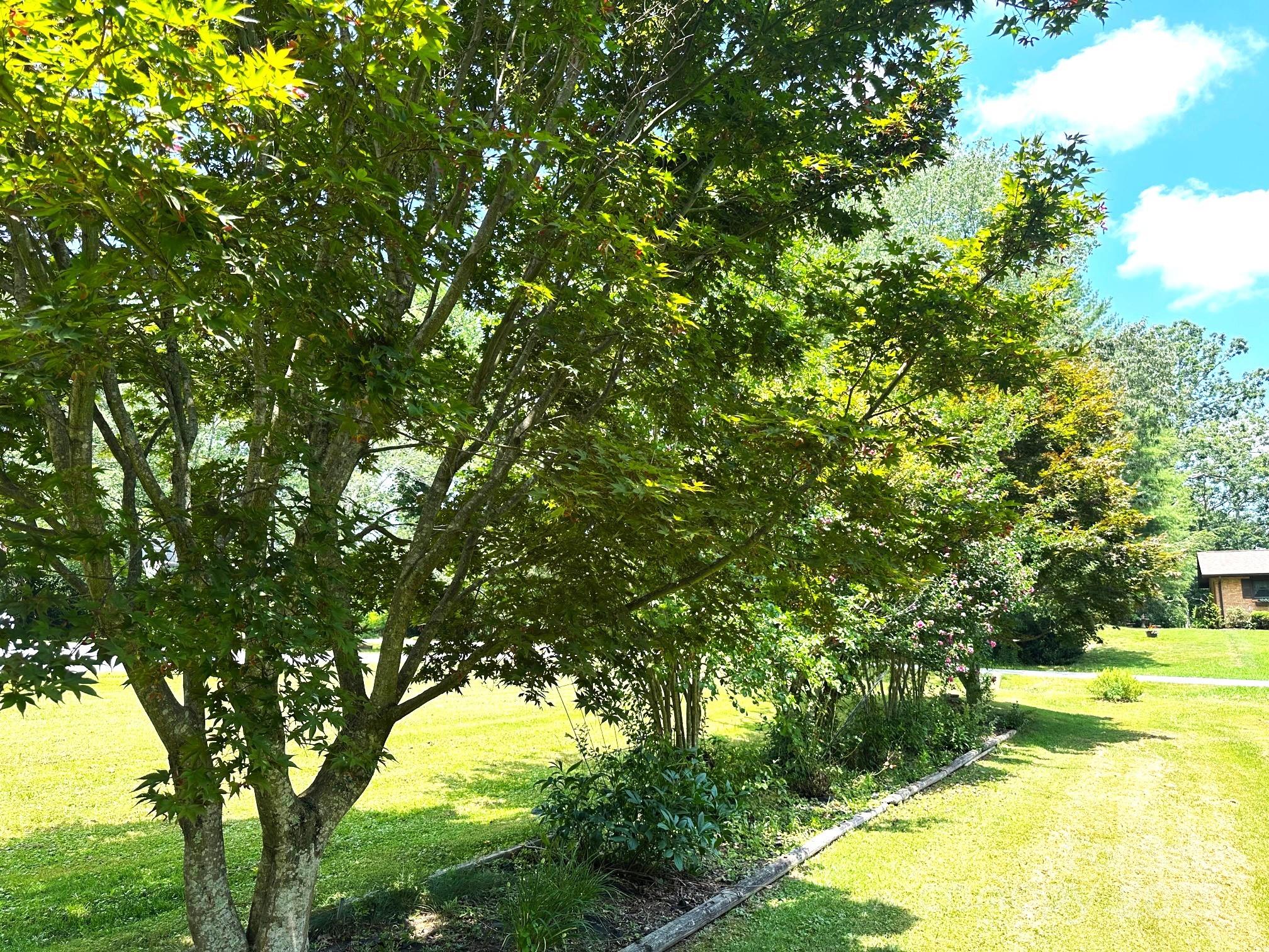 25 Norman Road Fletcher NC 28732