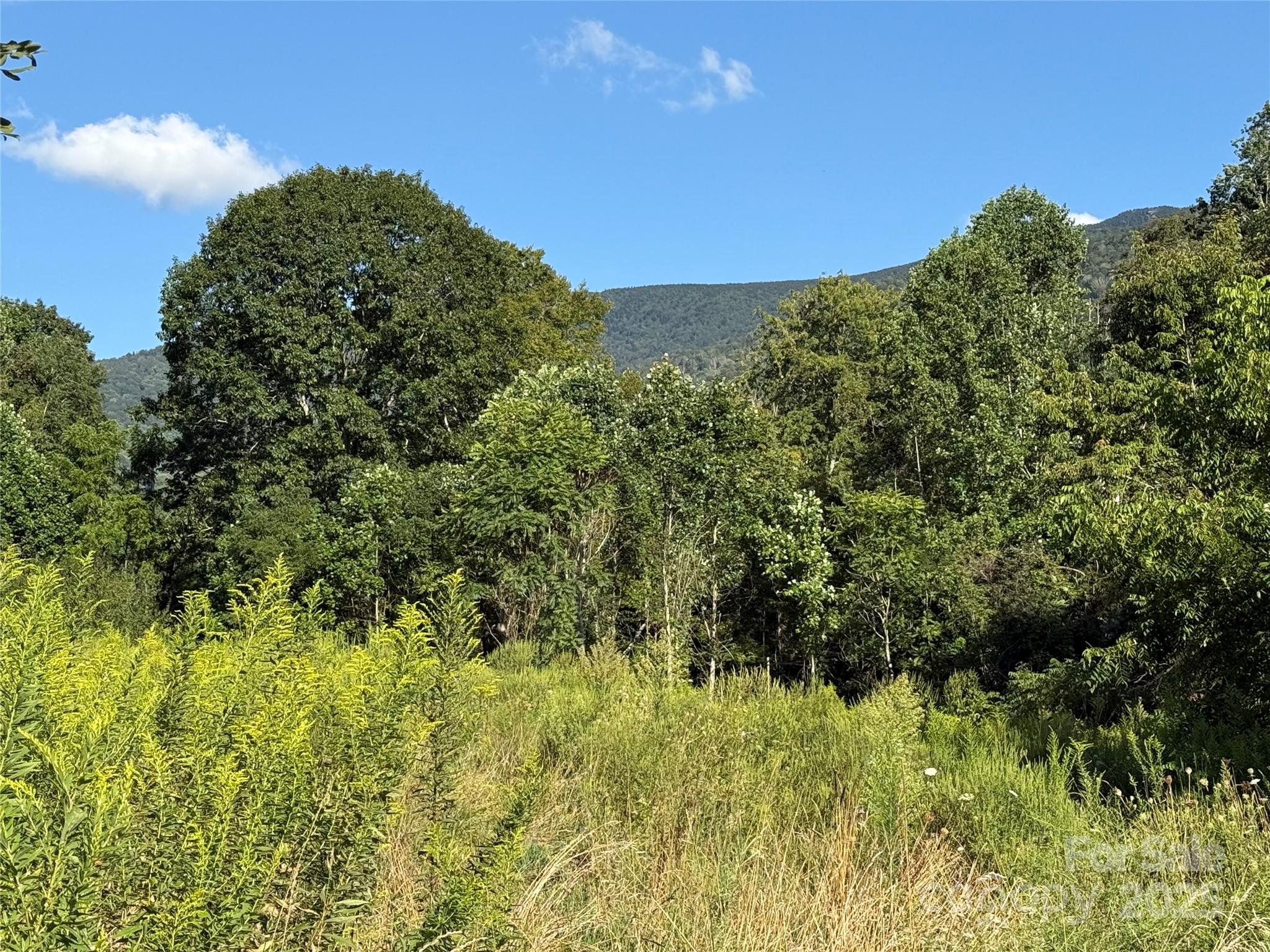 353 Perkins Road Bakersville NC 28705