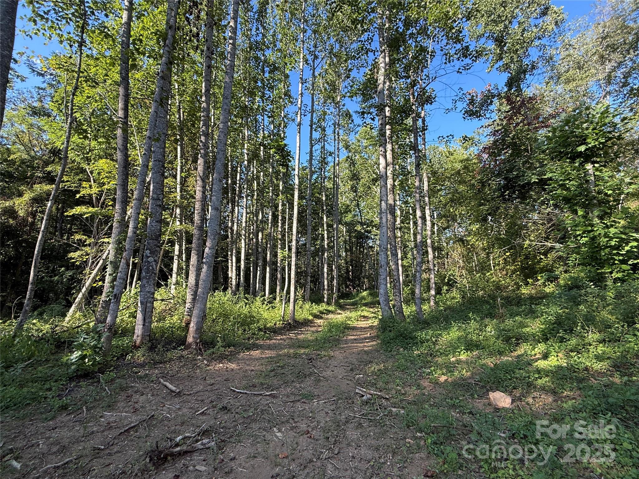 353 Perkins Road Bakersville NC 28705