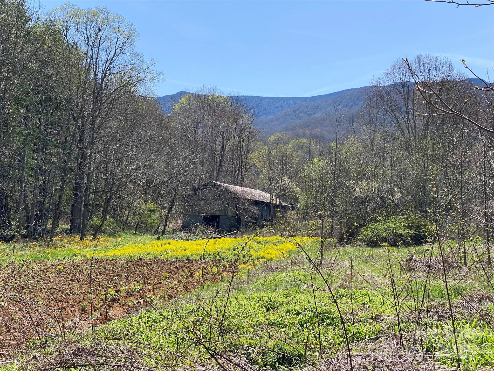 353 Perkins Road Bakersville NC 28705