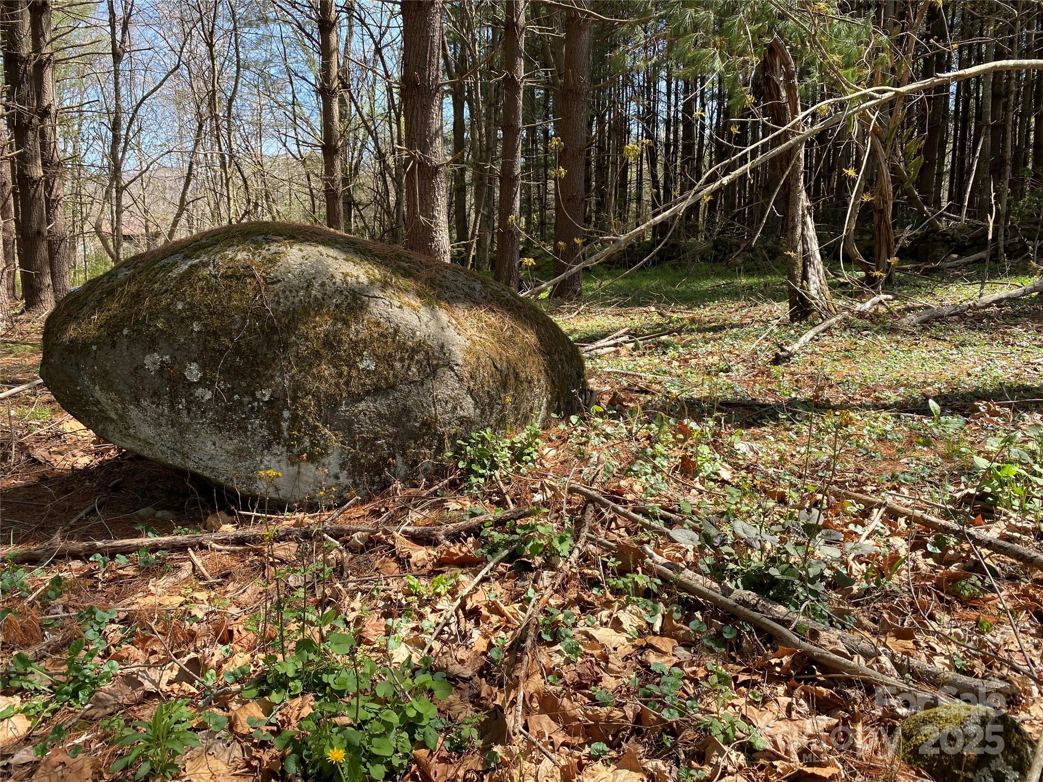 353 Perkins Road Bakersville NC 28705