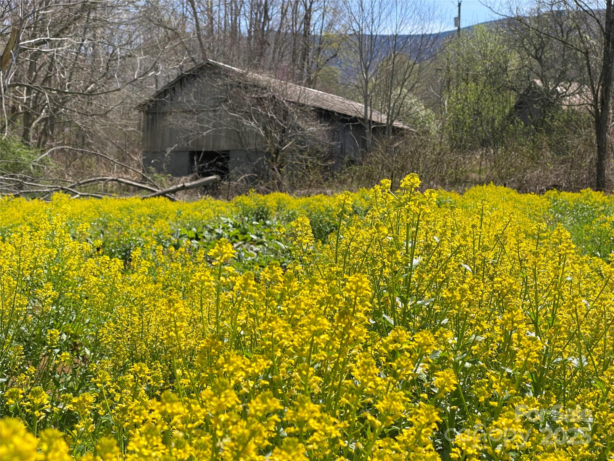 353 Perkins Road Bakersville NC 28705