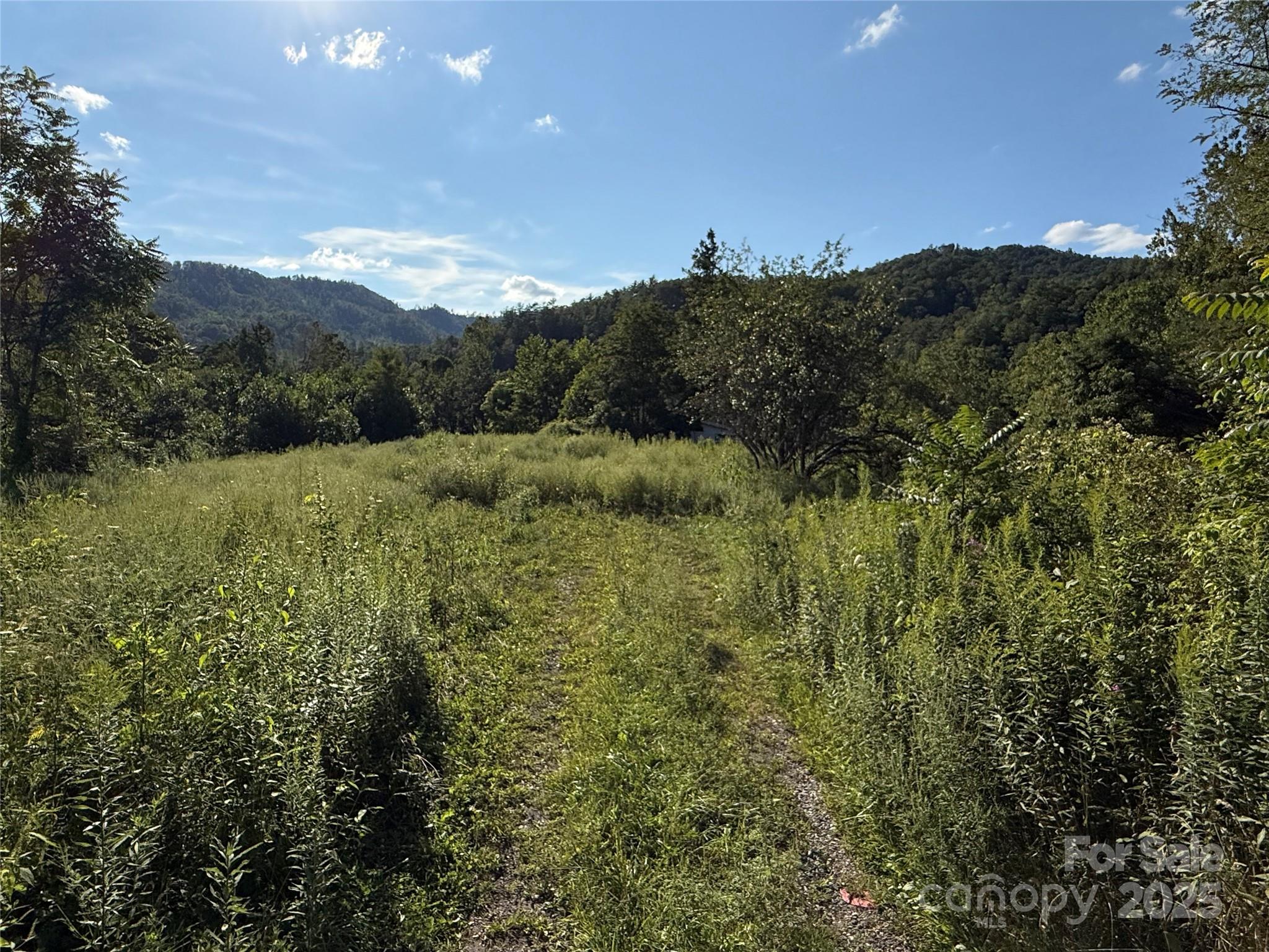 353 Perkins Road Bakersville NC 28705