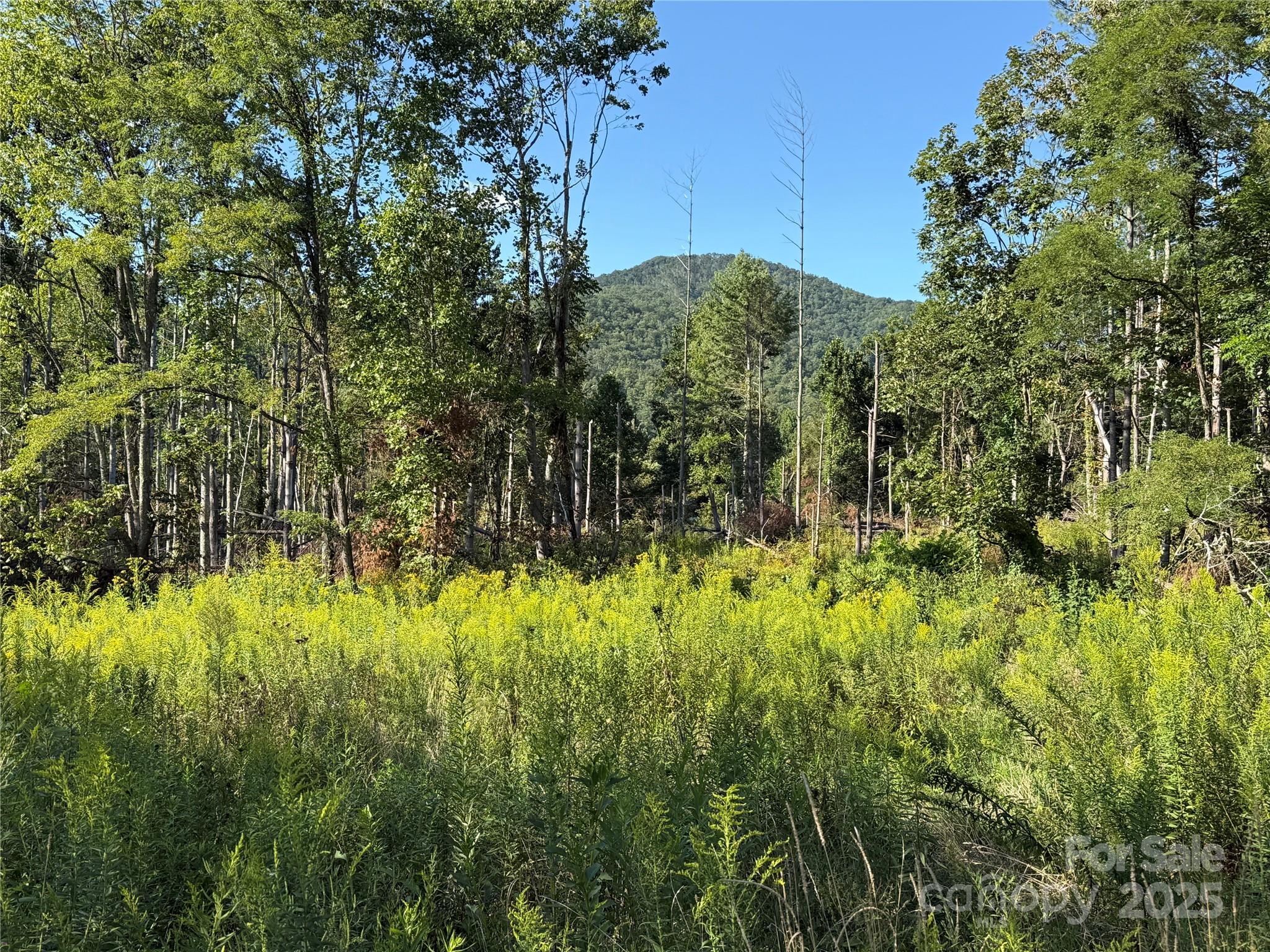 353 Perkins Road Bakersville NC 28705