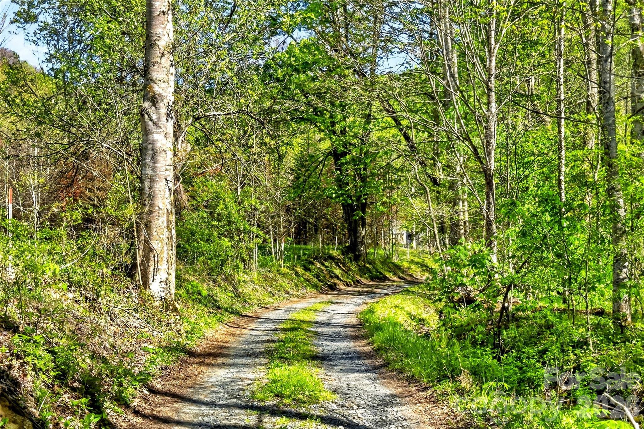 488 Cad Campbell Road Bakersville NC 28705