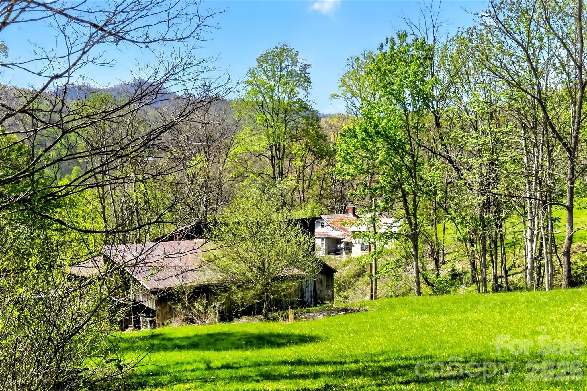 488 Cad Campbell Road Bakersville NC 28705