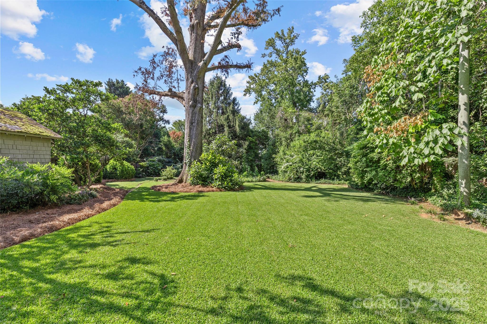 243 Ridgewood Avenue Charlotte NC 28209