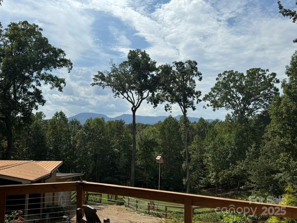655 Rondo Ridge Road Tryon NC 28782