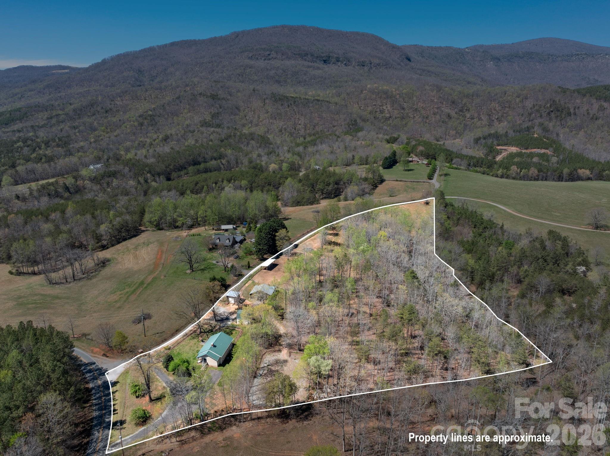 1434 Lake Adger Road Mill Spring NC 28756
