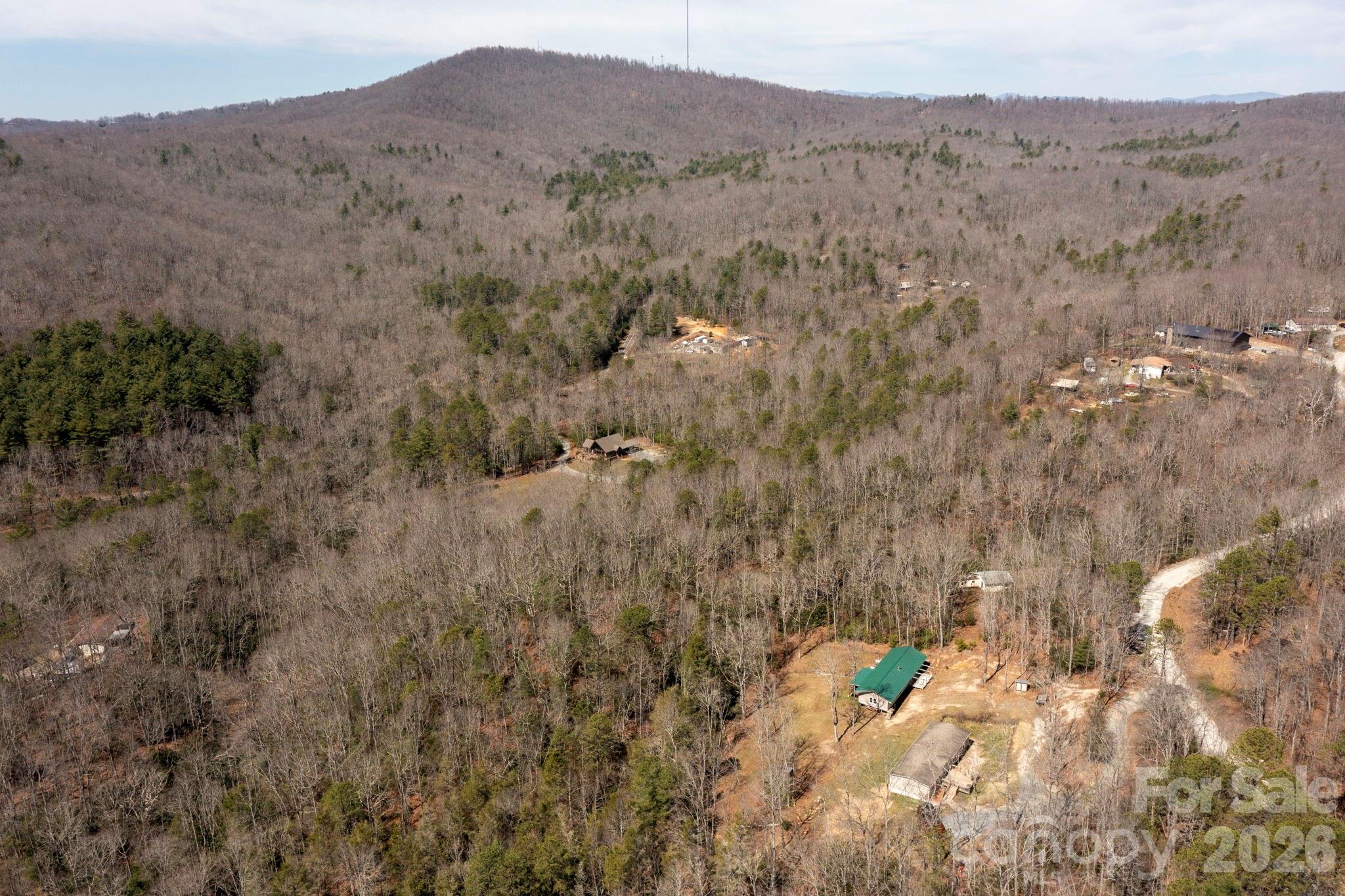 1064 Deer Chase Circle Cedar Mountain NC 28718